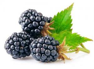 Cheap Dark Purple Mulberry Fruit Powder , Beverage Additive Organic Fruit Fresh Powder wholesale