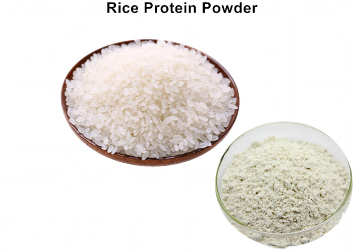 Cheap Rice Natural Plant Based Protein Powder , 50% Protein Certified Organic Protein Powder wholesale