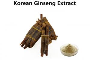 Cheap 10% Ginsenosides Korean Red Ginseng Powder , Korean Red Ginseng Root Extract For Dietary wholesale