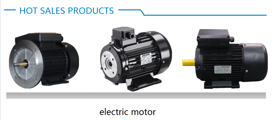 electric motor