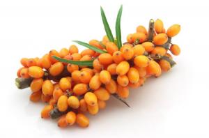 Cheap Brown Sea Buckthorn Berry Extract , Sea Buckthorn Extract Skin Care Polysaccharides Powder wholesale