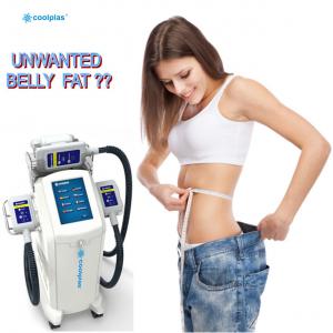 Cheap 360 Cryolipolysis Slimming Machine Non Invasive wind cooling White Blue wholesale