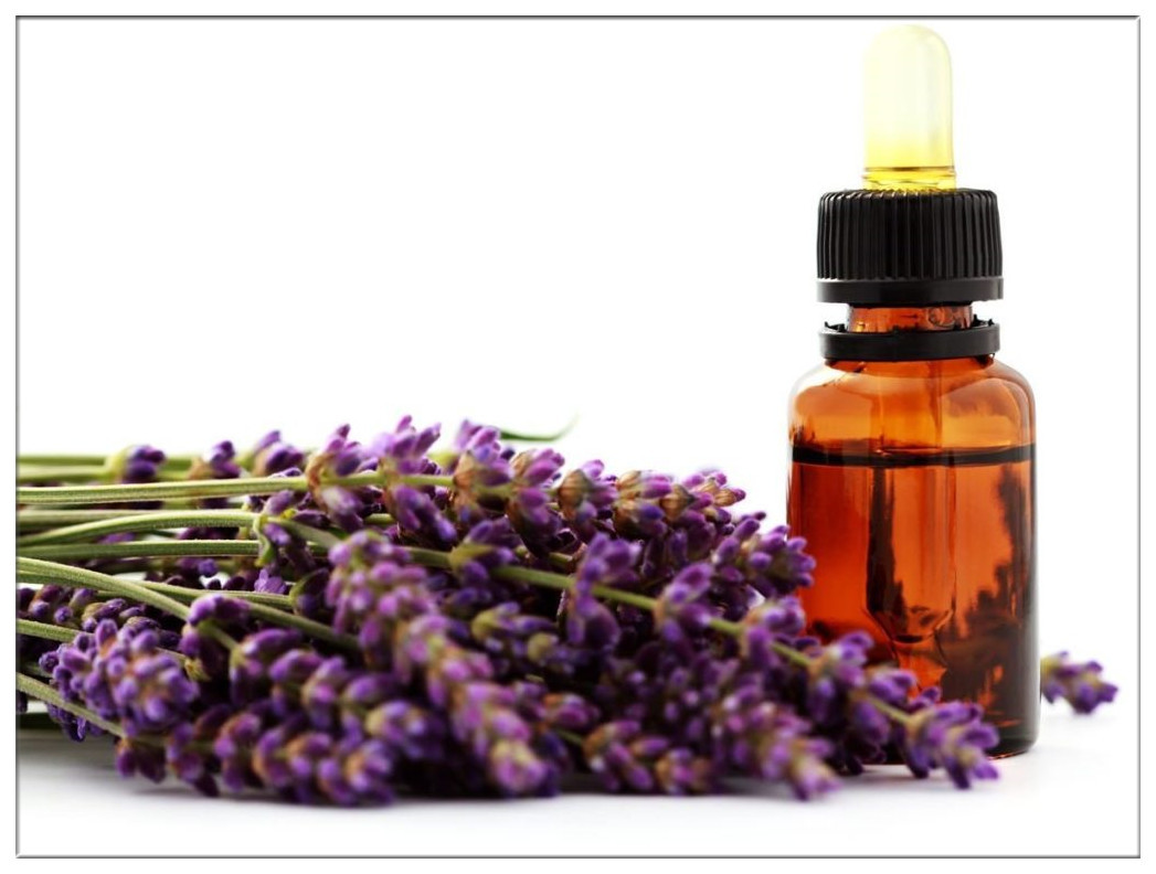 China Pure therapeutic-grade lavender oil, lavender essential oil for relaxation and healthy skin on sale