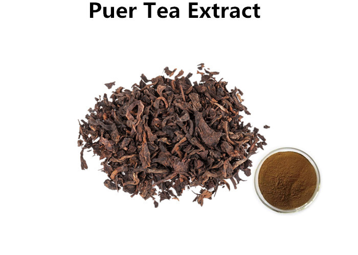 Cheap 100% Organic Puer Tea Extract Powder Anti - Bacteria For Cosmetics / Food wholesale
