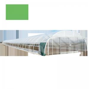 China Steel Single Span Greenhouse With PE Film High Disaster Resistance on sale