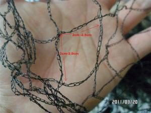 China 2.5 x 2.5cm light bird netting for garden on sale