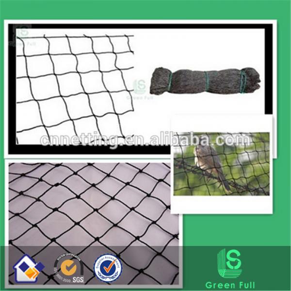 Quality Low price & High quality Plastic knotted anti bird net pigeon netting suppliers(factory) for sale