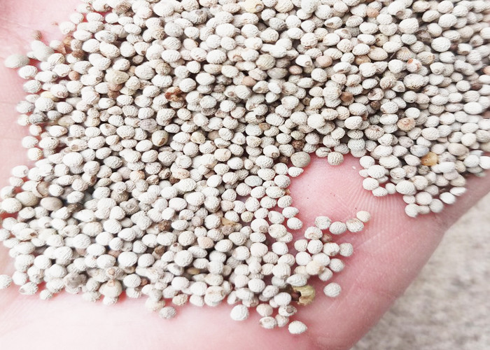 Cheap High Purity Small Bird Food White Perilla Seed Wild Sesame For Birds Feed wholesale