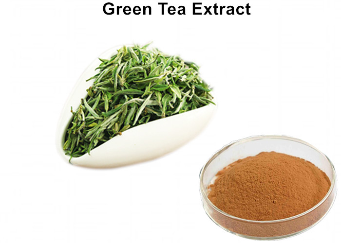 Cheap High Standard Green Tea Extract 1000mg, Pure Natural Green Tea Extract Fat Loss For Food And Drink wholesale