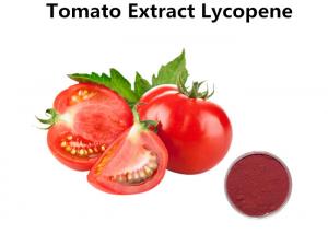 Cheap 10% Lycopene Tomato Extract Power , Natural Antioxidant Organic Tomato Extract wholesale