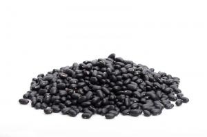 Cheap Lowering Cholesterol Black Soybean Hull Extract , Pure Natural Plant Extracts For Skin Care wholesale