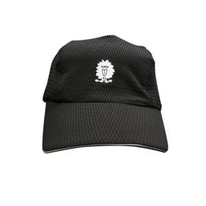 Cheap Unisex Dryfit Adjustable Golf Hats With Mesh Decoration Plain Pattern wholesale