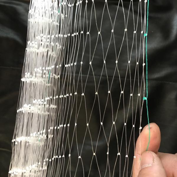 Quality Anti-bird Netting in Agriculture Using  Plastic mesh bird netting for sale