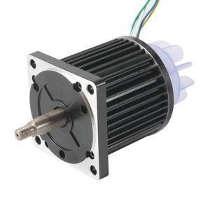 China High Torque 110mm Brushless High Power Bldc Motor on sale