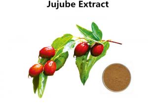 Cheap Jujube Fruit /Chinese Date Extract Plant Polysaccharides Anti - Allergic & Antihypertensive wholesale