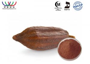 China 40% Polyphenols Cocoa Bean Extract Natural Cocoa Powder Pharmaceutical Grade on sale