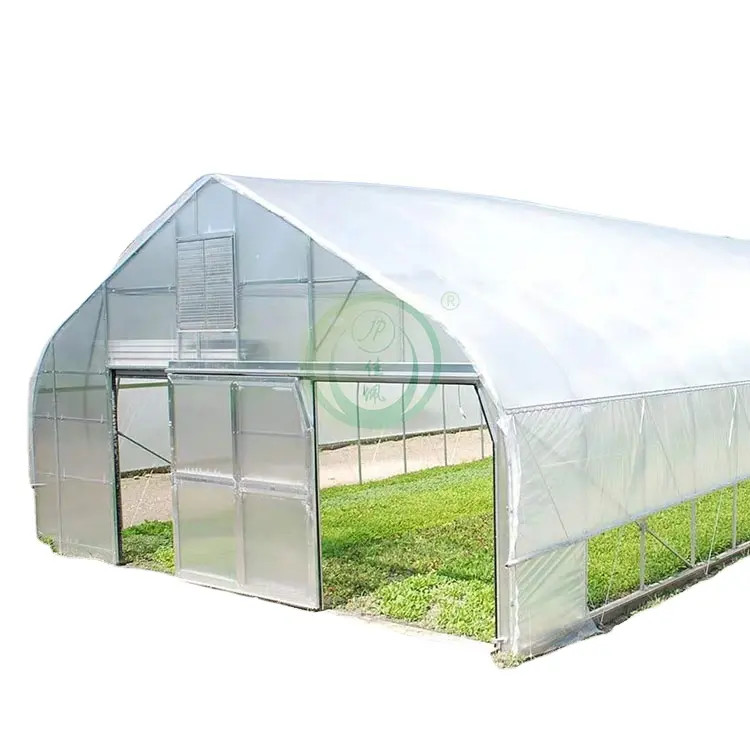 China Plastic Film Tunnel Greenhouse Resists Corrosion Sharp Arch Gothic Greenhouse on sale