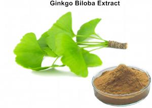 Cheap 45 : 1 Pure Ginkgo Biloba Extract , Organic Ginkgo Biloba Powder Promoting Cerebral Blood Circulation wholesale