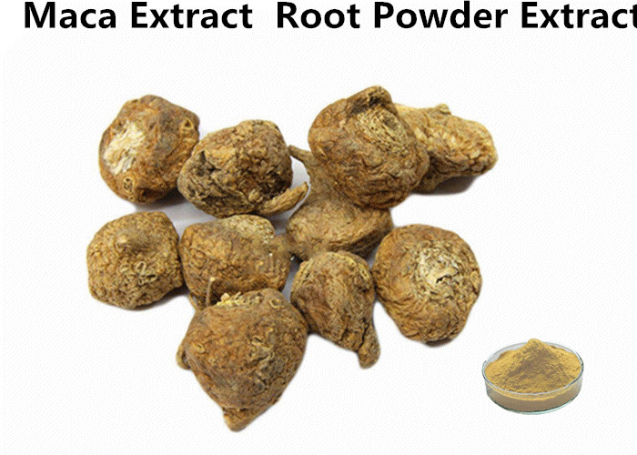 Cheap Maca Natural Plant Extracts Root Powder Improves Energy Endurance & Sexual wholesale