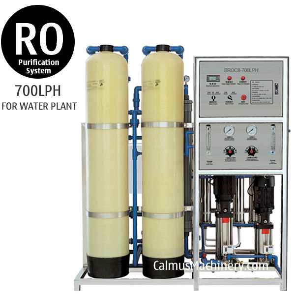 China 700LPH Commercial Water Treatment System Reverse Osmosis RO Water Purification System on sale