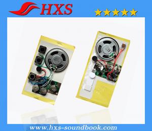 China Chinese Supplied New Recording Sound Chip Factory Price Recording Sound Chip For Sale on sale
