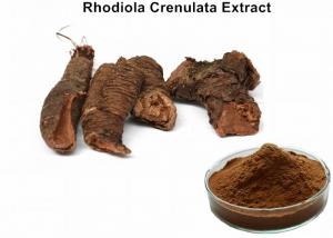 Cheap Pure Rhodiola Crenulata Extract , Rhodiola Rosea Root Extract 3% Total Salidrosides wholesale