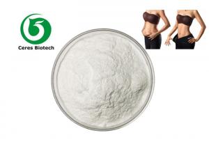 China CAS 541-15-1 L Carnitina Amino Acid Powder For Weight Loss on sale