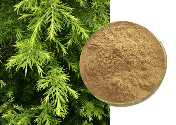 Buy cheap Natural Agricultural Cosmetics Artemisia Annua Extract from wholesalers