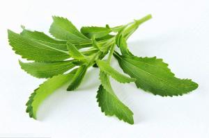 Cheap Stevia Leaf Extract Natural Sweetener Powder White 50% Rebaudioside A Lowering Pressure wholesale