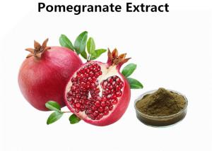 Cheap Pure Pomegranate Extract Powder , 30% Polyphenols Pomegranate Peel Powder For Skin wholesale