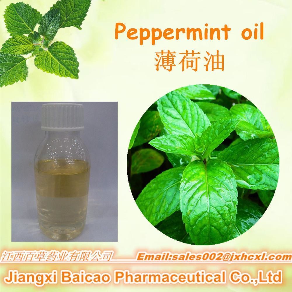 China Manufacturer wholesale natural pure peppermint essential oil in bulk on sale