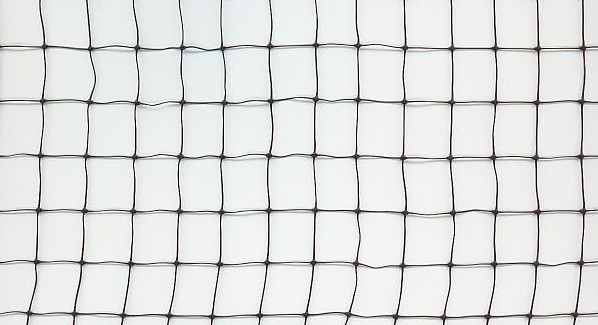 China Extruded Square Mesh Anti Bird Netting Hdpe For Protecting Grape on sale