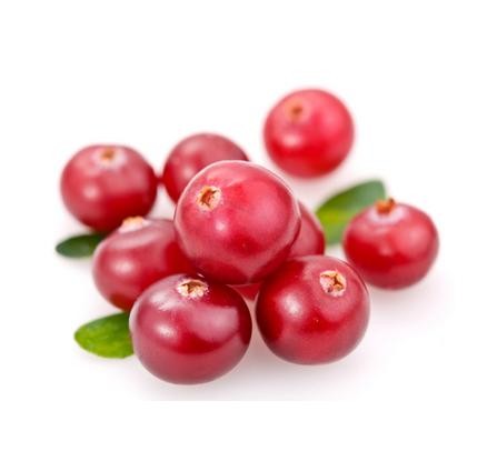 Cheap Pure Cranberry JFruit Juice Powder High Proantho Cyanidins For Function Foods wholesale