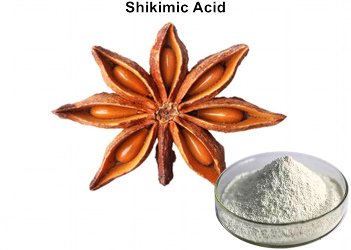 Cheap Popular White Shikimic Acid Powder, Natural Anti Tumor Star Anise Extract wholesale