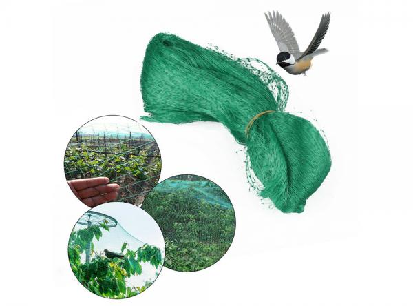 Quality Fruit Tree Netting, Bird Netting For Fruit Trees for sale