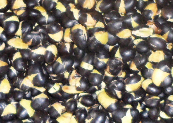 Cheap Naturally Grown Roasted Black Beans Original Flavor Hard Texture For All Age wholesale