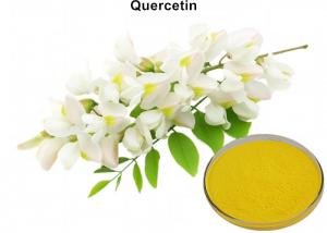 Cheap Antitumor Pure Quercetin Powder , High Purity 98% Quercetin Dihydrate Powder 117 39 5 wholesale