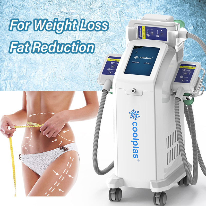 Cheap Weight Loss Cryolipolysis Slimming Machine Fat Reduction With 3 Handles wholesale