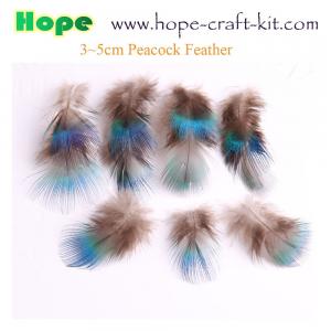 Cheap Peacock feathers, goose feathers, turkey chicken feathers for hobbies and children kids STEM hand-crafted DIY material wholesale
