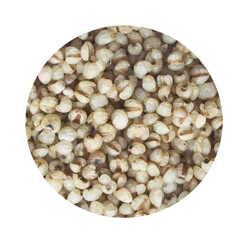 Buy cheap 100% Pure Natural Steamed Job'S Tear Roasted For Drink from wholesalers
