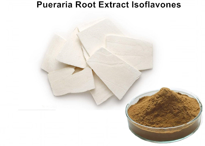 Cheap Medical Pueraria Mirifica Powder Root Extract , Pueraria Lobata Root Extract For Spasmolysis wholesale