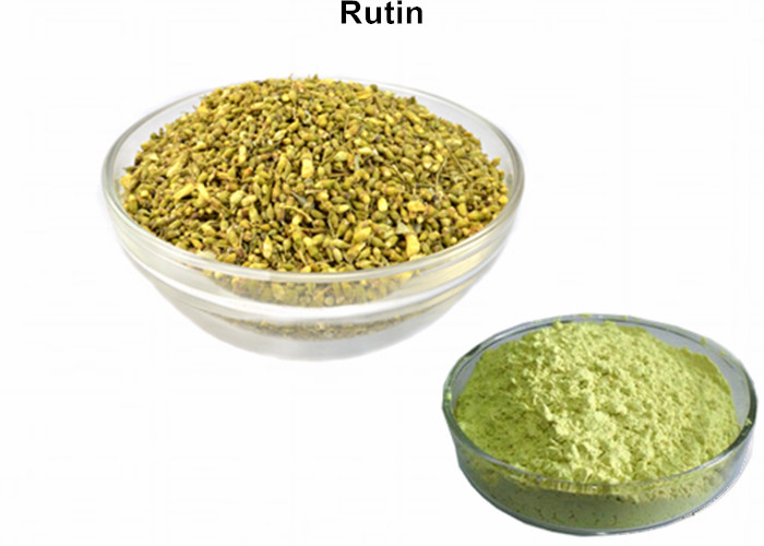 Cheap Sophora Japonica Flower Bud Monomer Powder Natural 95% Rutin Powder CAS 153 18 4 wholesale