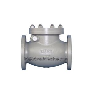 Cheap JIS F7373 10K Cast iron swing check valve wholesale