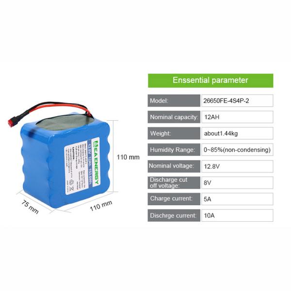 153.6Wh Lithium Iron Phosphate Battery Pack Deep Cycle Rechargeable