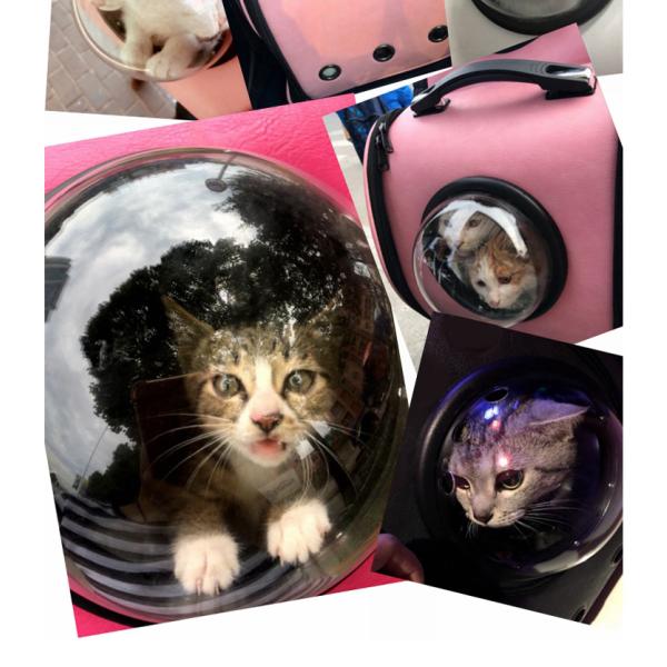 Polyester Fibre 3 In 1 32cm Dog Cat Carriers Backpack