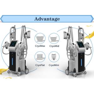 Cheap 2019 best professional fat freeze cryolipolysis slim machine cryolipolysis slimming wholesale