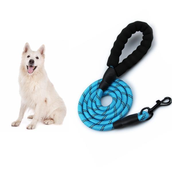 Pet Leashes Padded Handle Customized Color Portable Comfortable Free Reflective Nylon Rope