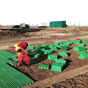 Cheap PP Grass Paving Grids Geocell for Driveway Elite Black Green Surface Welding Cell Material wholesale