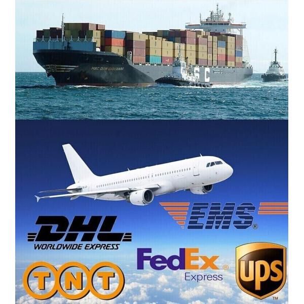 Family Friends Wooden Balance Toy Rubber Wood Wooden Bowling Game