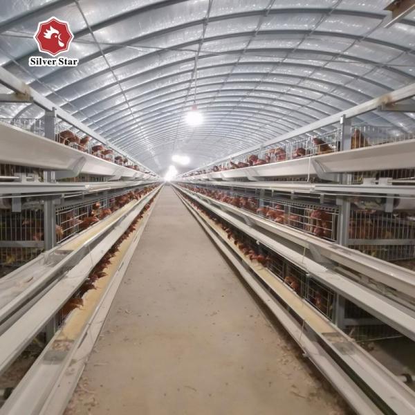 H Type Fully Automatic Battery Chicken Cage System Egg Layer Poultry Farming Equipment